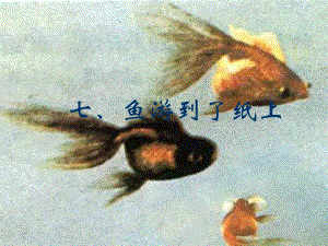 鱼游到了纸上 (4)
