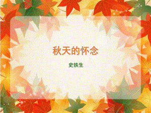 秋天的怀念 (3)