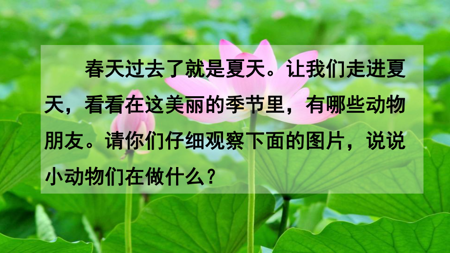 部編人教版一年級(jí)下冊(cè)語(yǔ)文《識(shí)字5 動(dòng)物兒歌》課件_第1頁(yè)