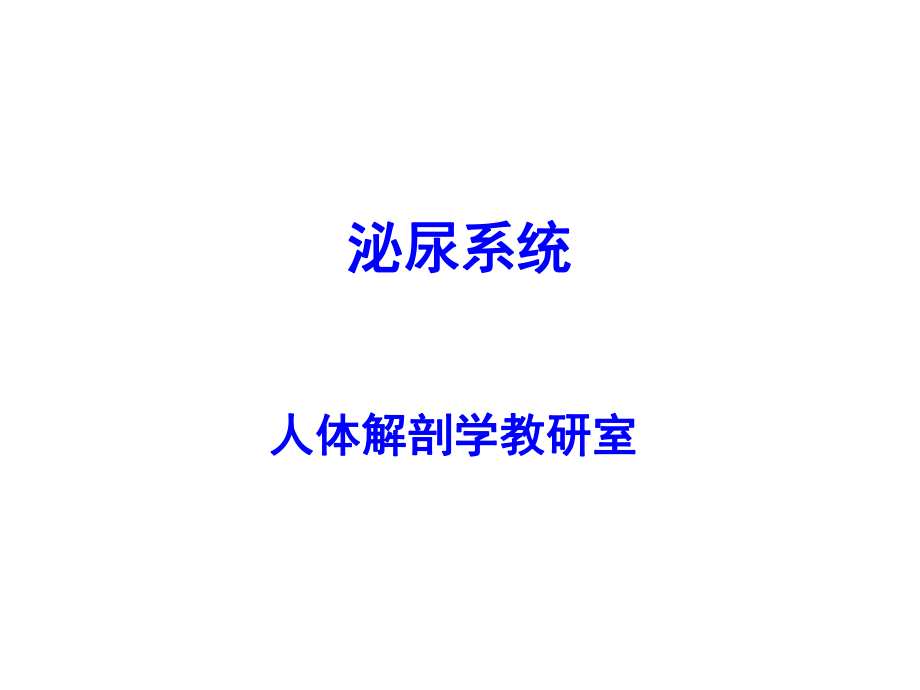 《泌尿系解剖》PPT課件.ppt_第1頁