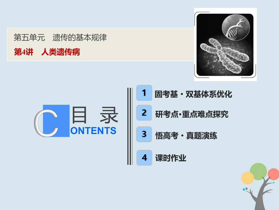 生物第五單元 遺傳的基本規(guī)律 第4講 人類(lèi)遺傳病 新人教版_第1頁(yè)