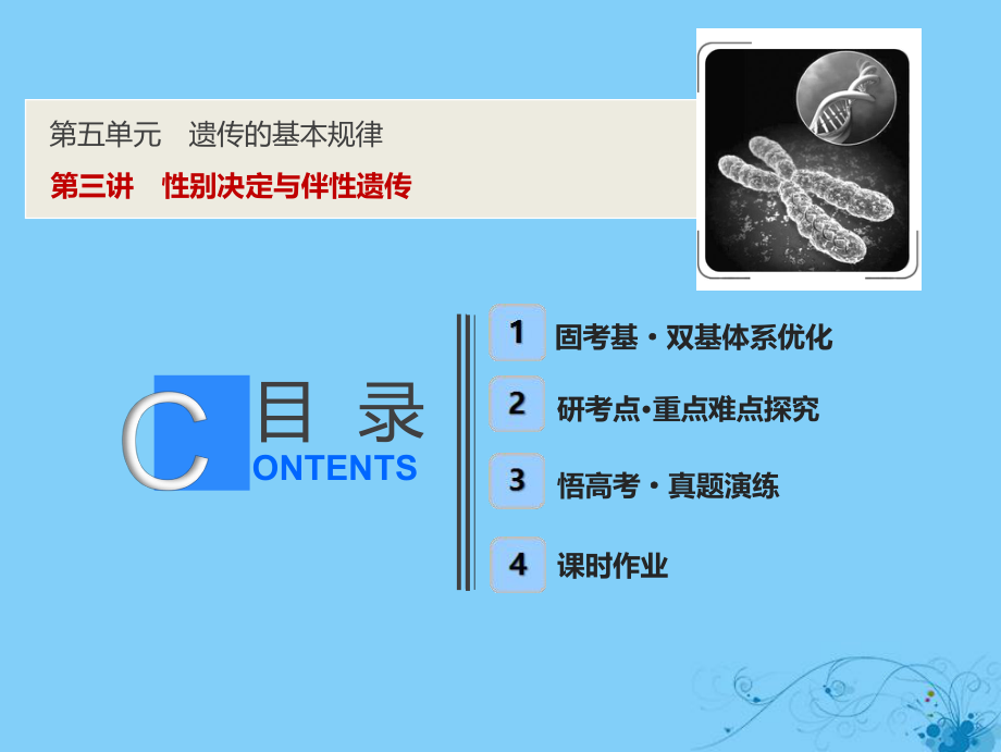 生物第五單元 遺傳的基本規(guī)律 第三講 性別決定與伴性遺傳 蘇教版_第1頁(yè)