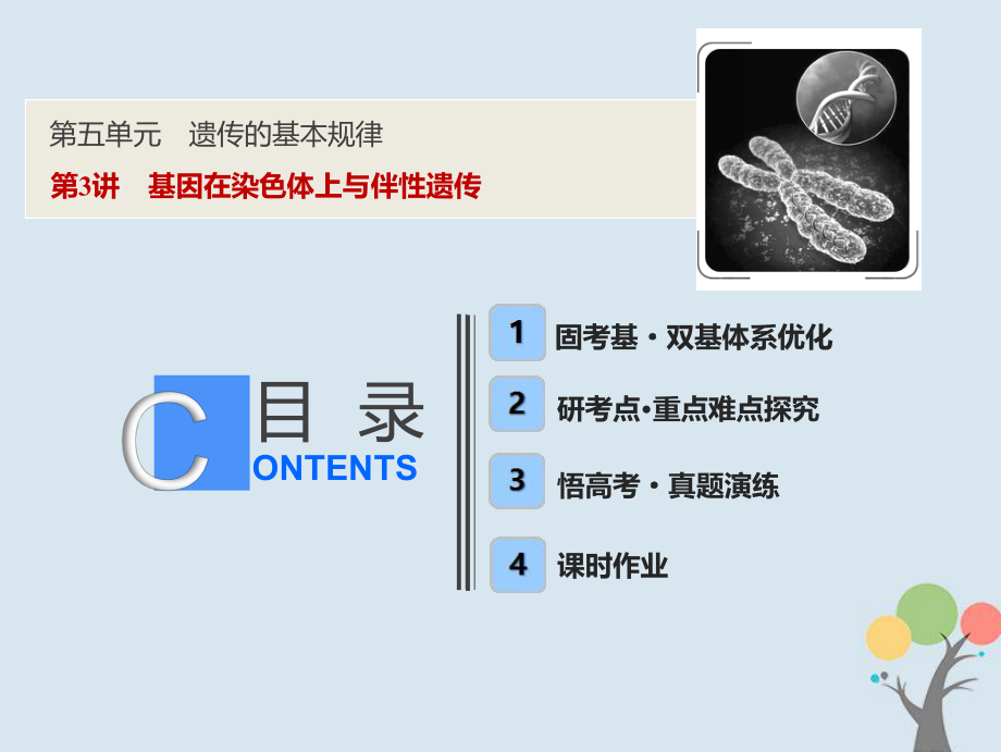 生物第五單元 遺傳的基本規(guī)律 第3講 基因在染色體上與伴性遺傳 新人教版_第1頁(yè)