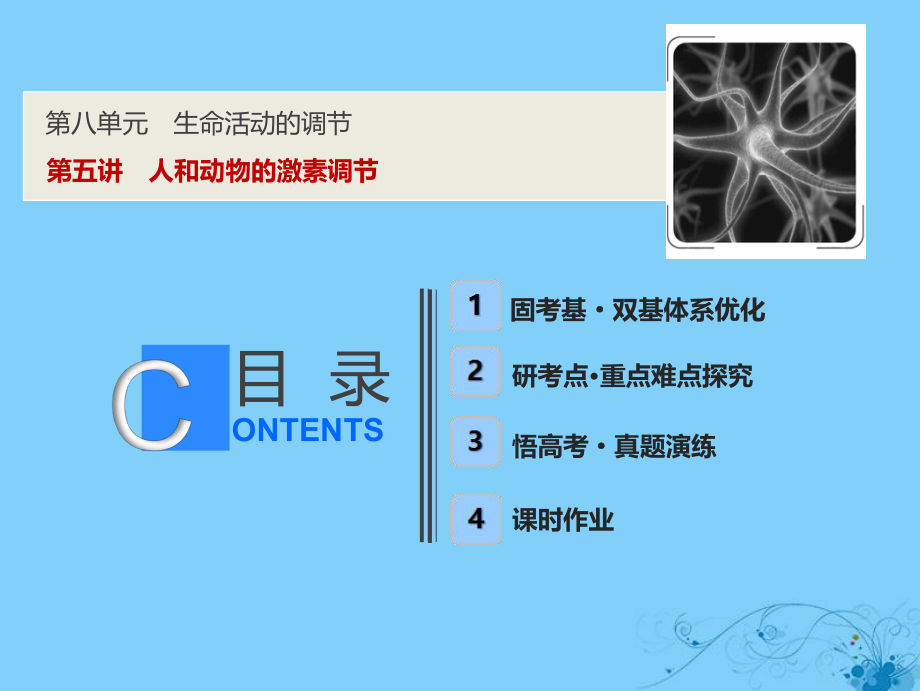 生物第八單元 生命活動(dòng)的調(diào)節(jié) 第五講 人和動(dòng)物的激素調(diào)節(jié) 蘇教版_第1頁