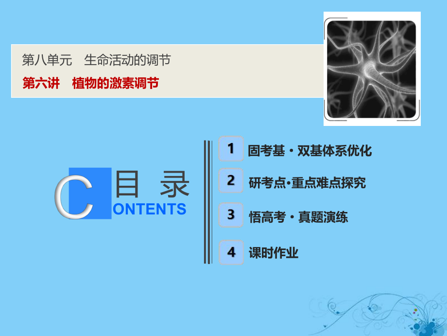 生物第八單元 生命活動的調(diào)節(jié) 第六講 植物的激素調(diào)節(jié) 蘇教版_第1頁