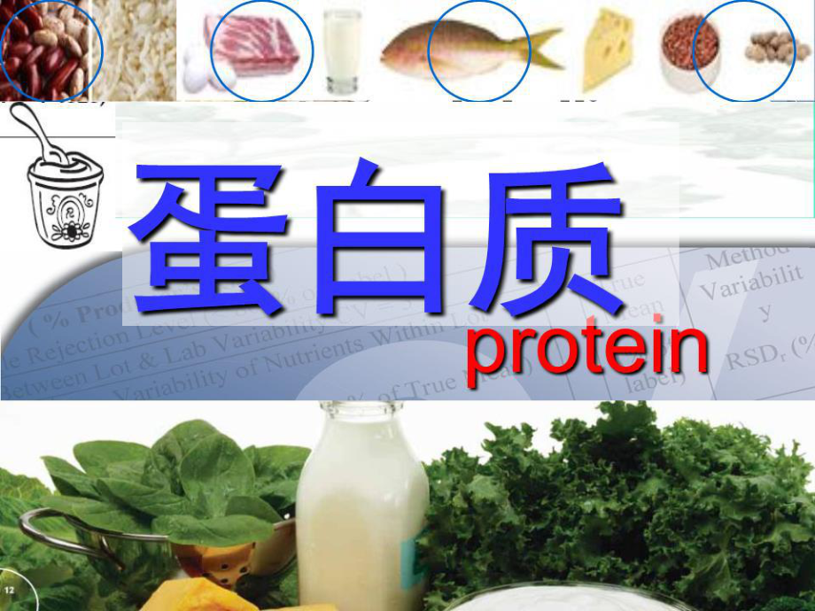 食品化学第三章蛋白质ppt