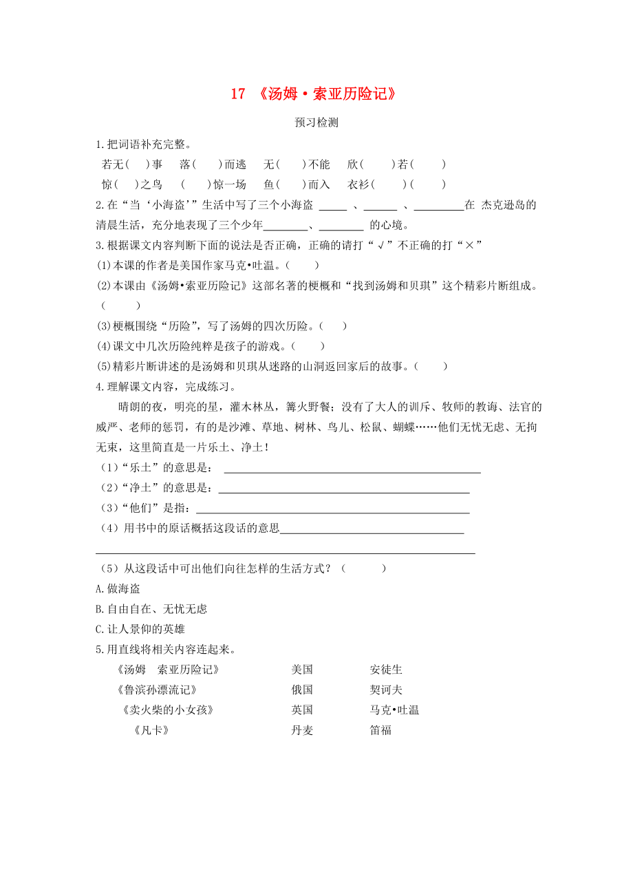 六年級語文下冊17《湯姆索亞歷險記》預習檢測（新版）新人教版.doc_第1頁