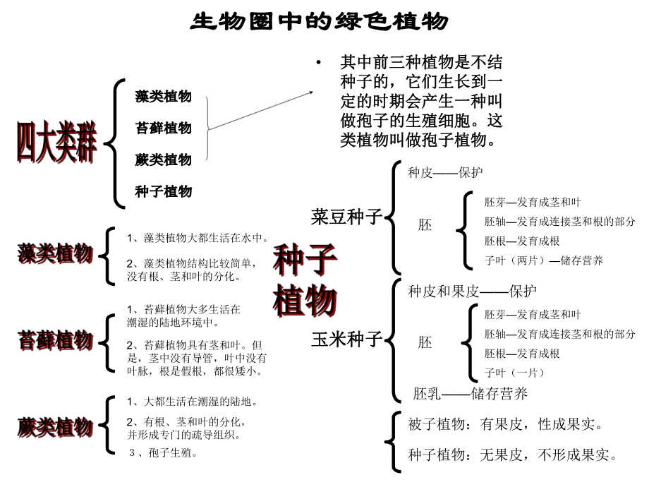 初中生物结构图打印版图片