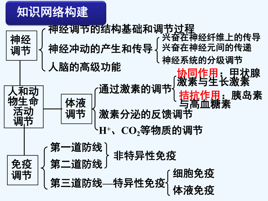 高三生物《動物生命活動調(diào)節(jié)》課件_第1頁