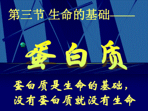 13《生命的基礎(chǔ)__蛋白質(zhì)》課件-新人教選修1