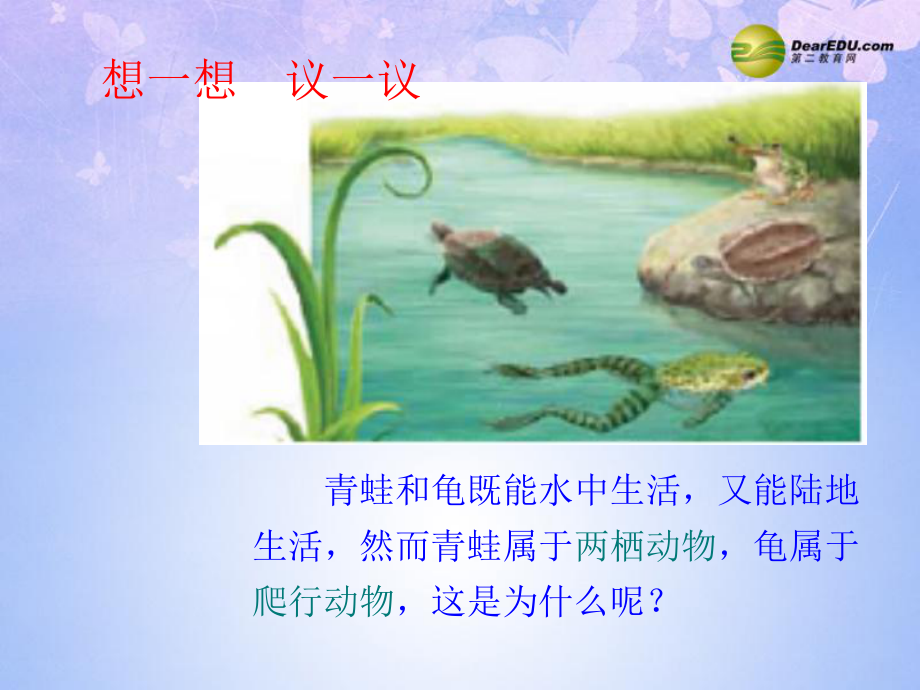 廣東省東莞市萬江區(qū)華江初級中學(xué)八年級生物上冊兩棲動物和爬行動物課件（新版）新人教版_第1頁