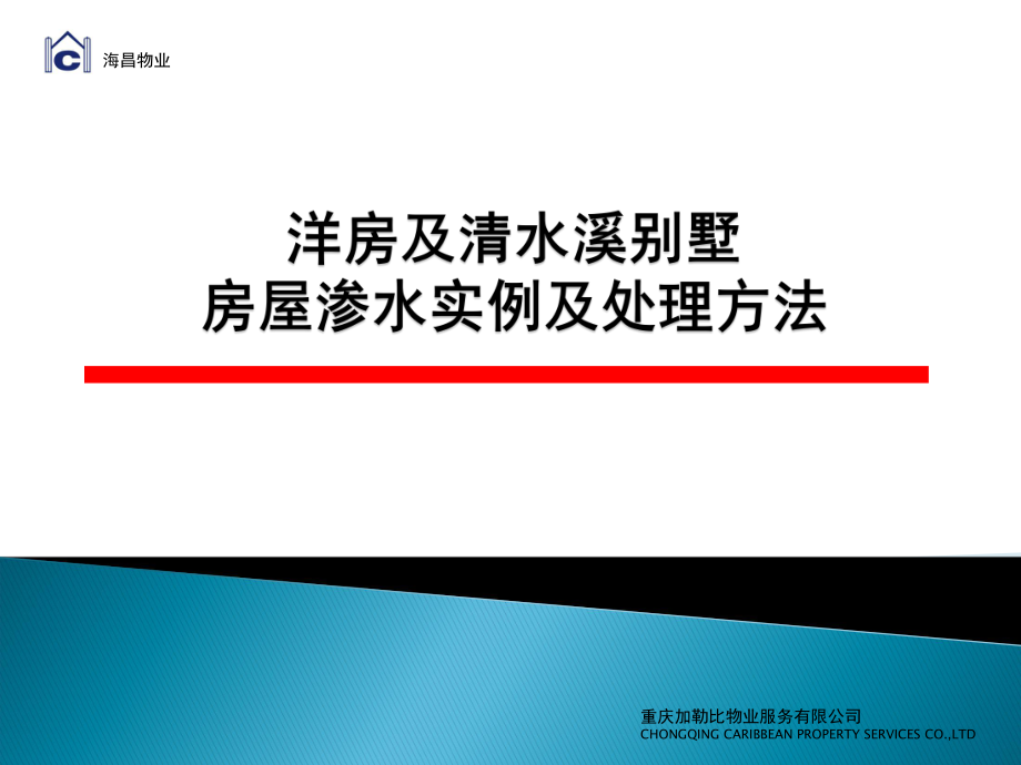 别墅洋房屋面渗水问题及解决方案PPT_第1页