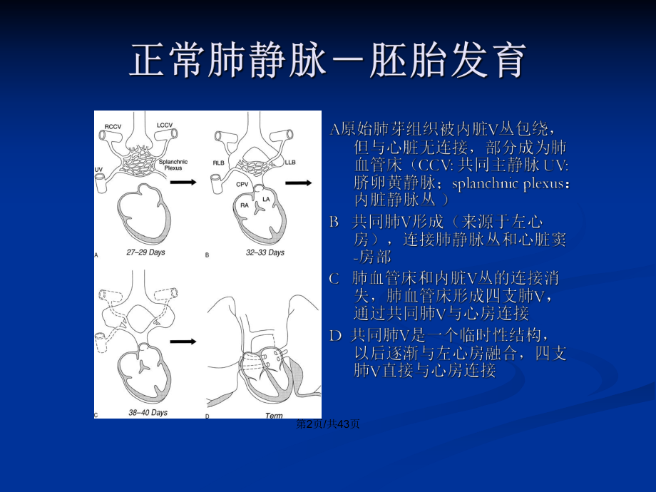 肺静脉异位引流图片