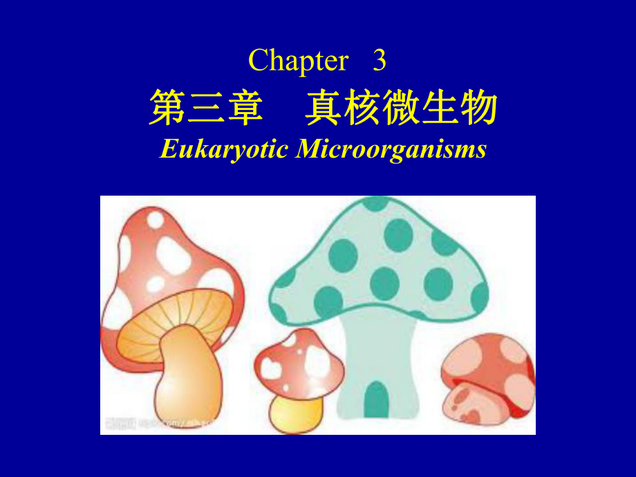 微生物學基礎：第三章 真核微生物_第1頁