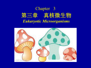 微生物學(xué)基礎(chǔ)：第三章 真核微生物