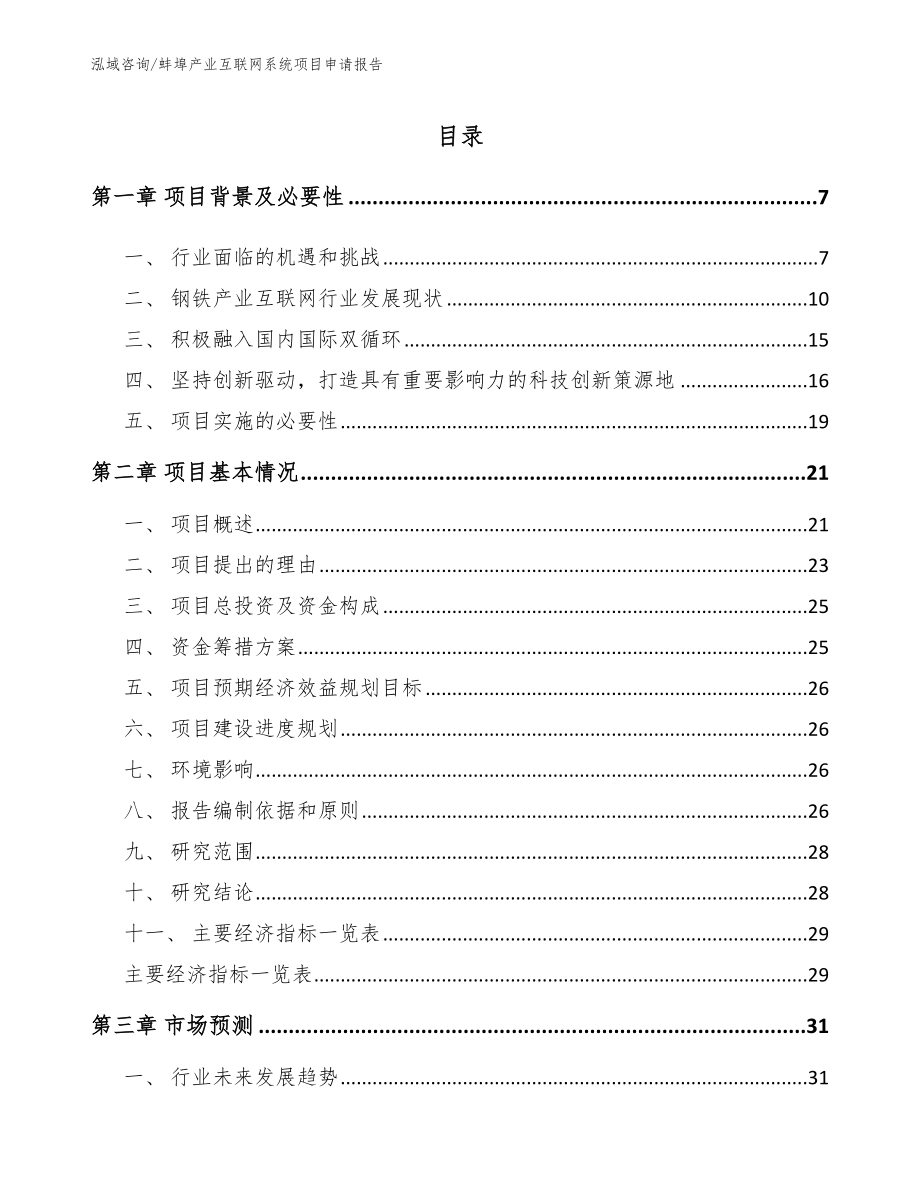 蚌埠产业互联网系统项目申请报告_第1页