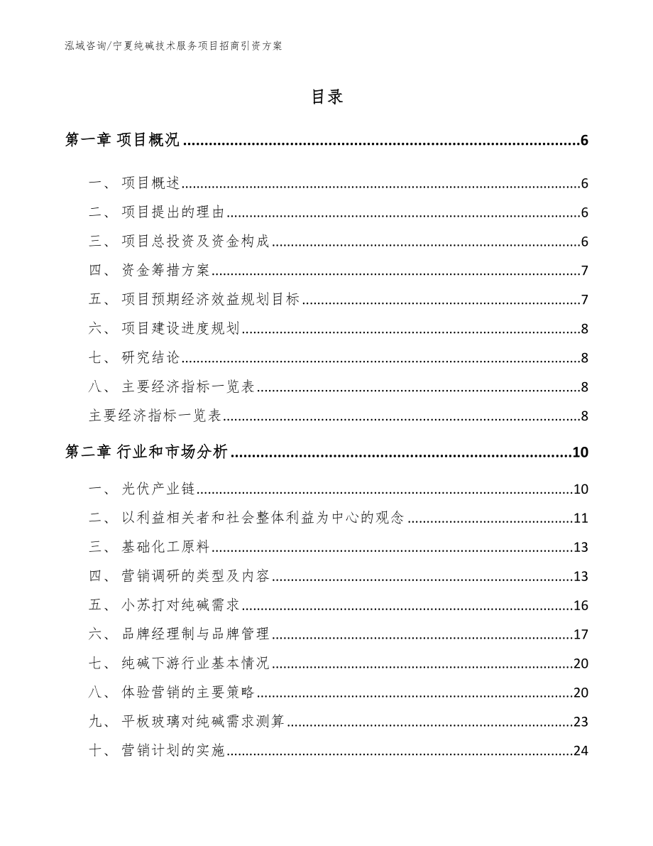 宁夏纯碱技术服务项目招商引资方案（参考范文）_第1页