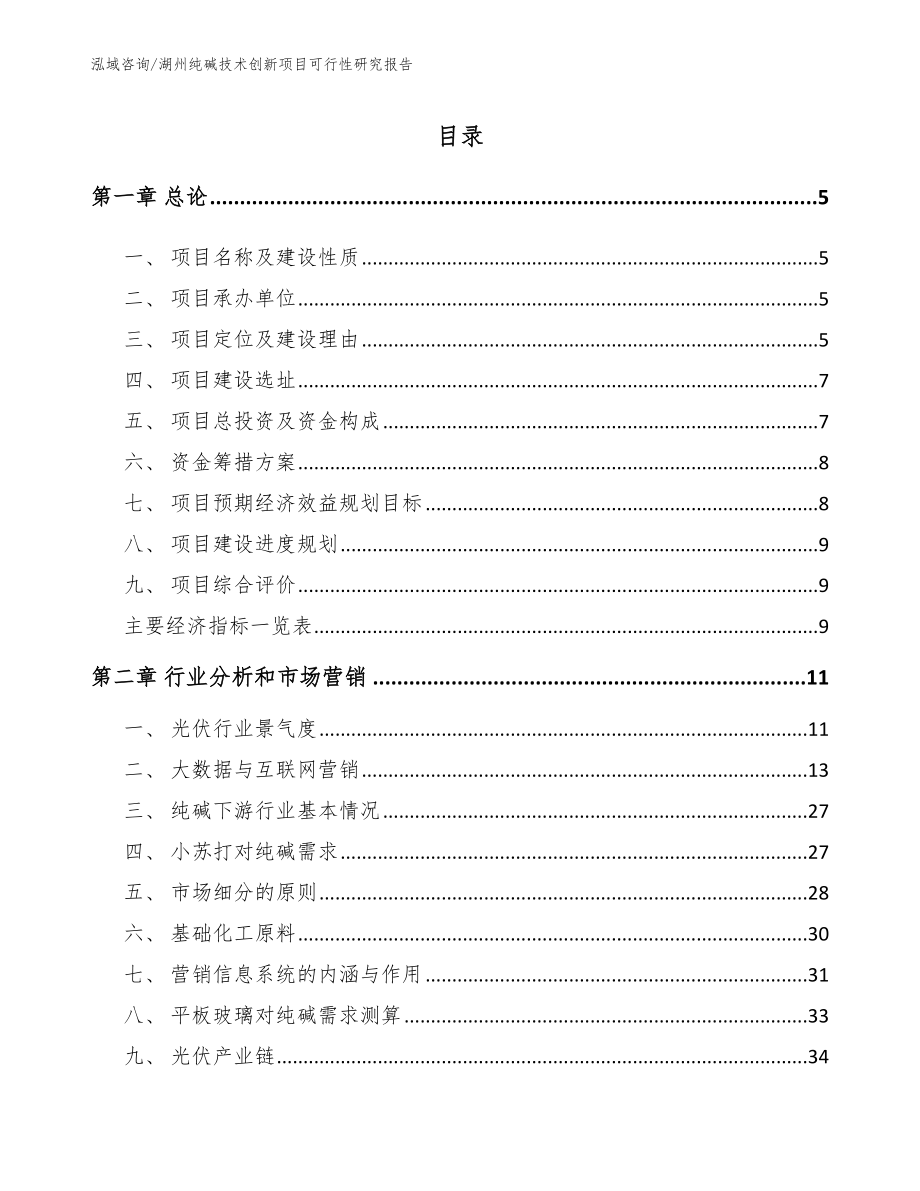 湖州纯碱技术创新项目可行性研究报告（模板参考）_第1页