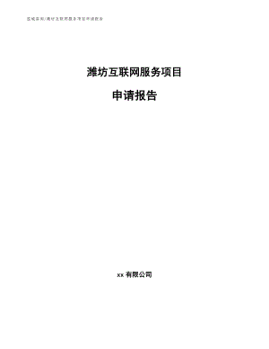 潍坊互联网服务项目申请报告【模板参考】
