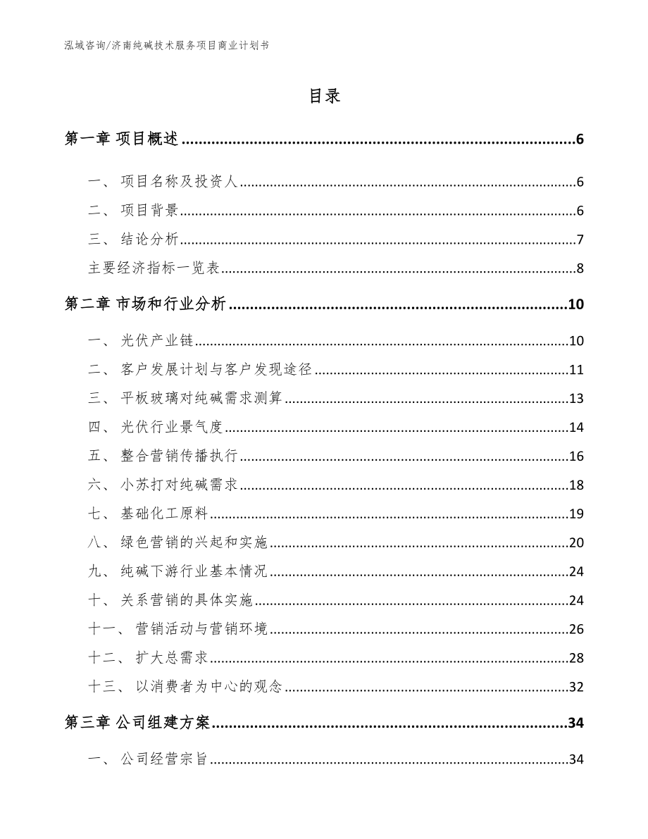济南纯碱技术服务项目商业计划书_范文参考_第1页
