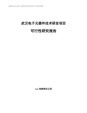 武汉电子元器件技术研发项目可行性研究报告【模板范本】