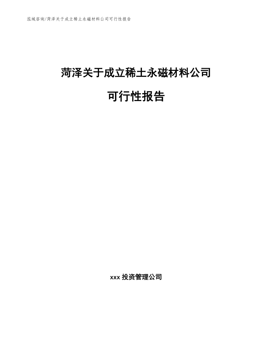菏泽关于成立稀土永磁材料公司可行性报告（模板参考）_第1页