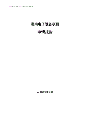 湖南电子设备项目申请报告（模板）