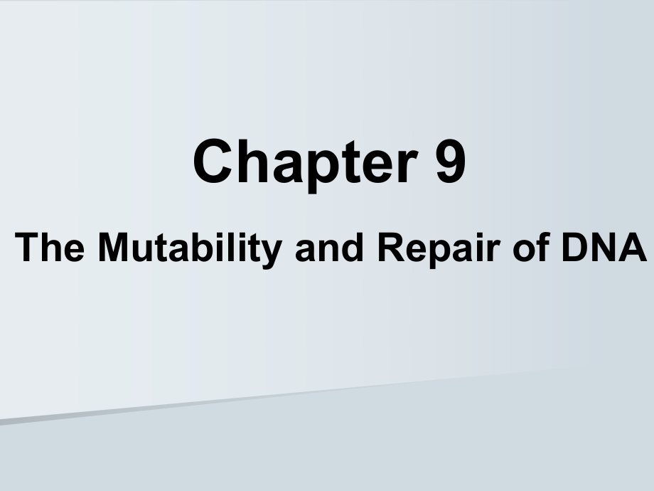 分子生物学教学课件：CHAPTER 9 The Mutability and Repair of DNA_第1页