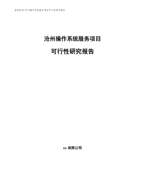 沧州操作系统服务项目可行性研究报告范文模板