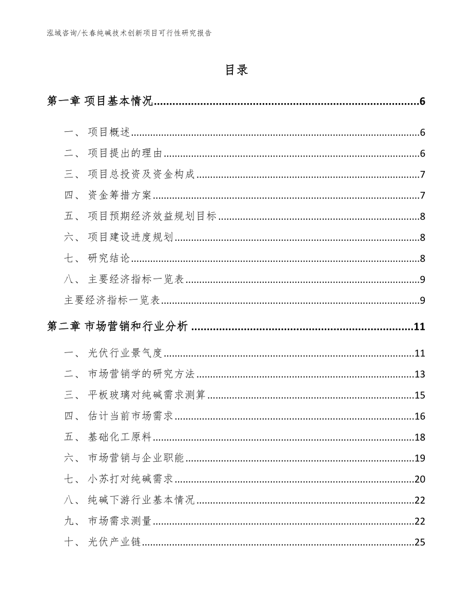 长春纯碱技术创新项目可行性研究报告参考模板_第1页