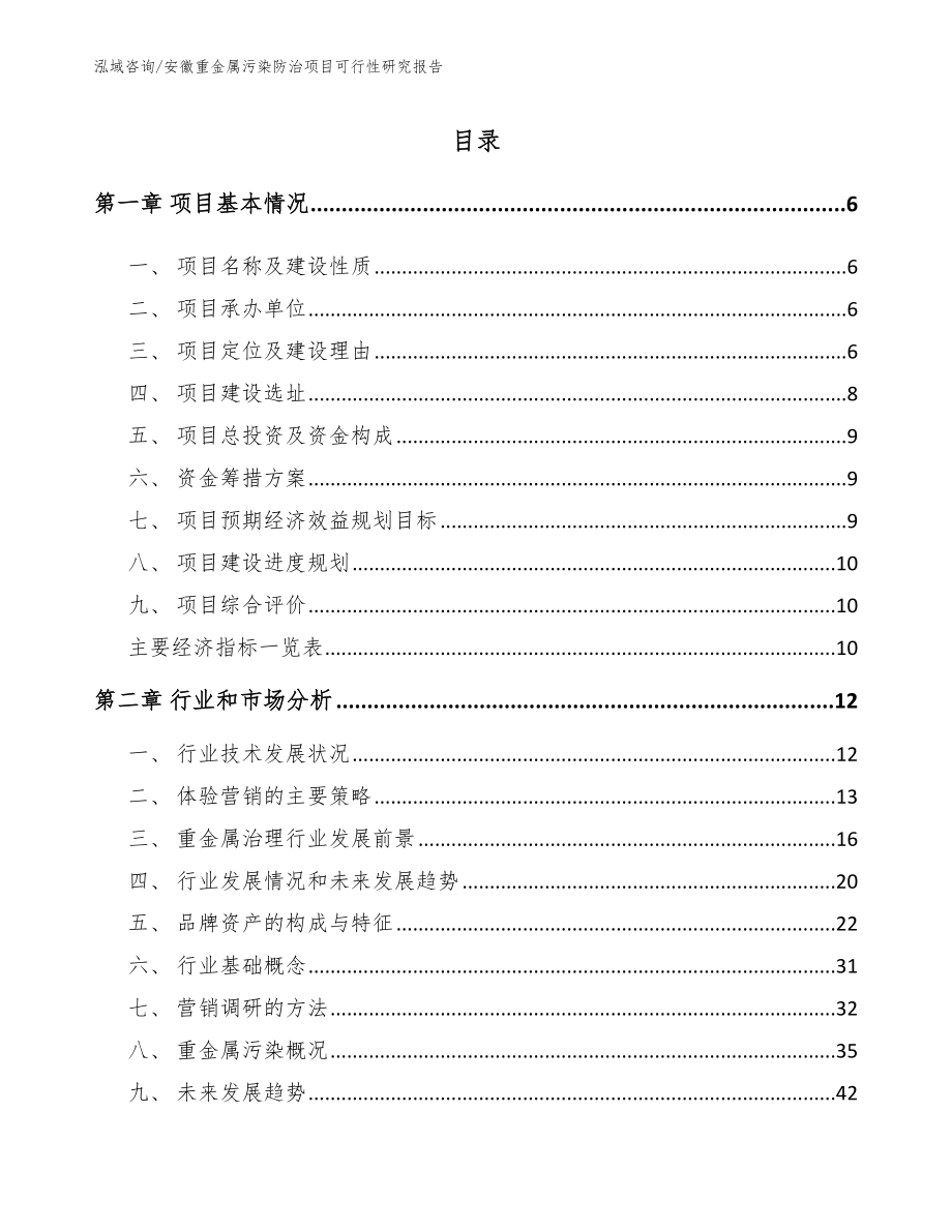 安徽重金属污染防治项目可行性研究报告（模板）_第1页