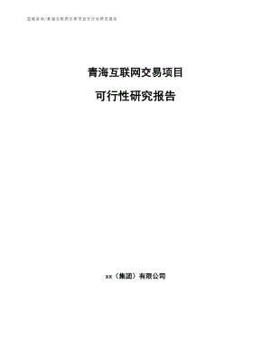 青海互联网交易项目可行性研究报告【模板】
