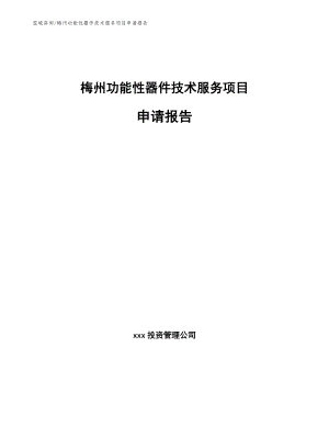 阳江功能性器件技术服务项目申请报告（范文模板）