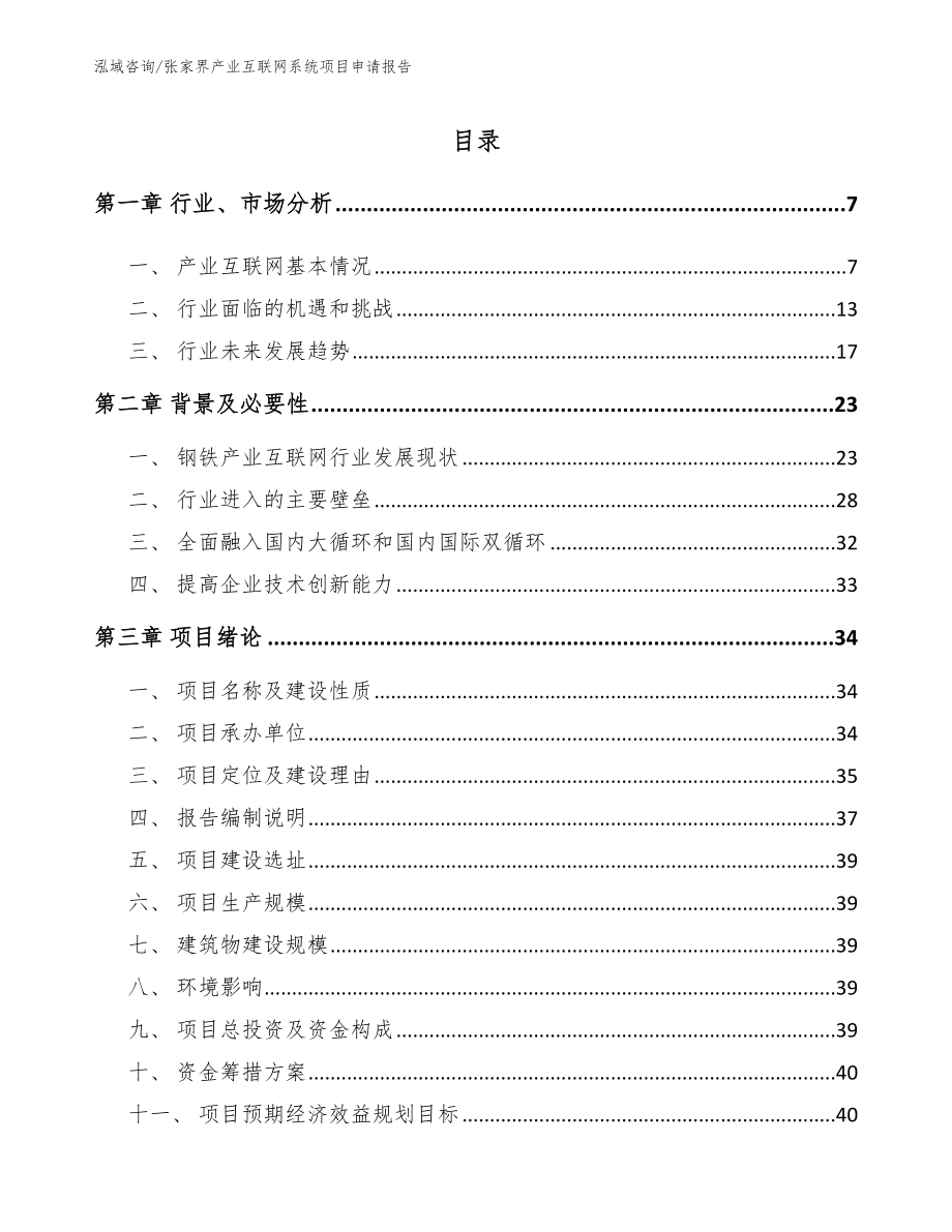 张家界产业互联网系统项目申请报告（模板参考）_第1页