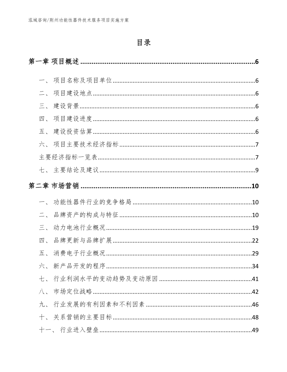 荆州功能性器件技术服务项目实施方案_参考模板_第1页