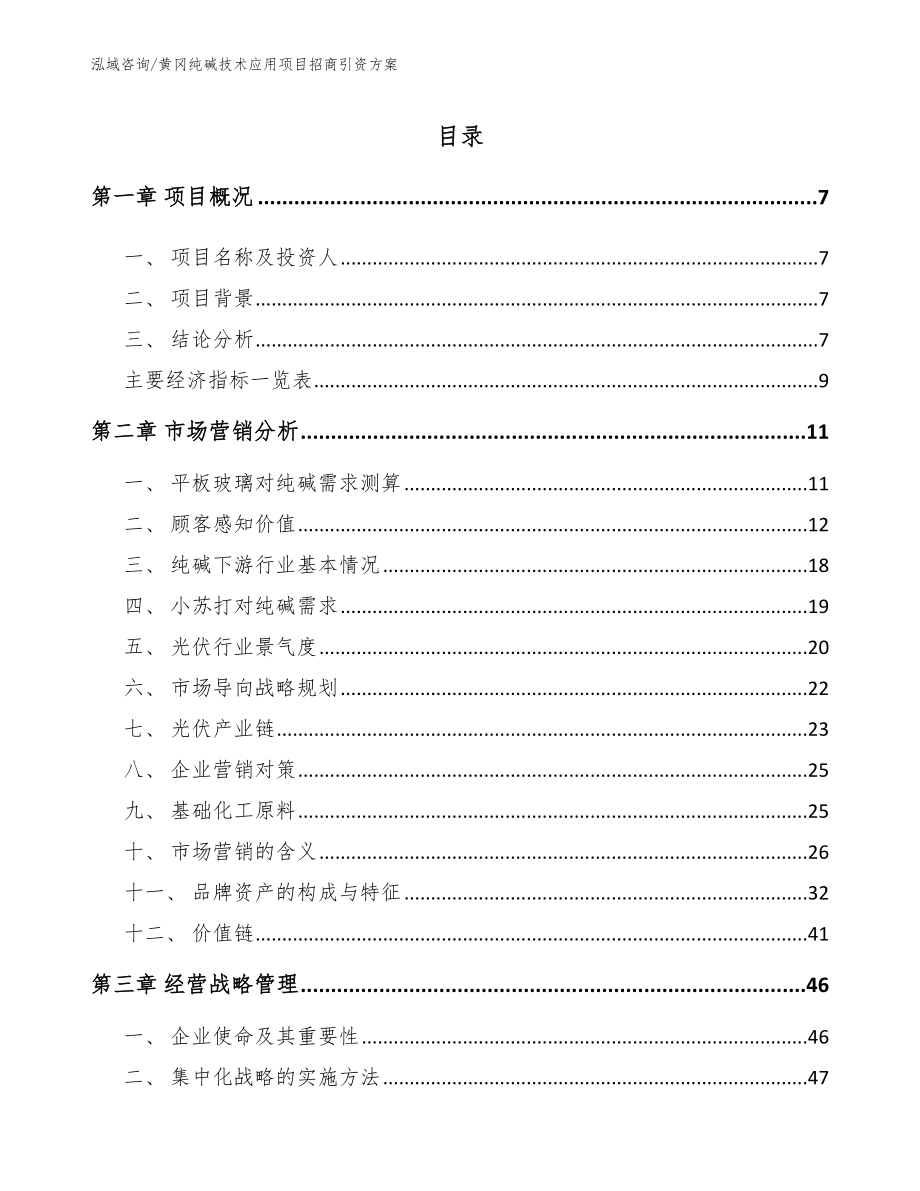 黄冈纯碱技术应用项目招商引资方案（模板范文）_第1页