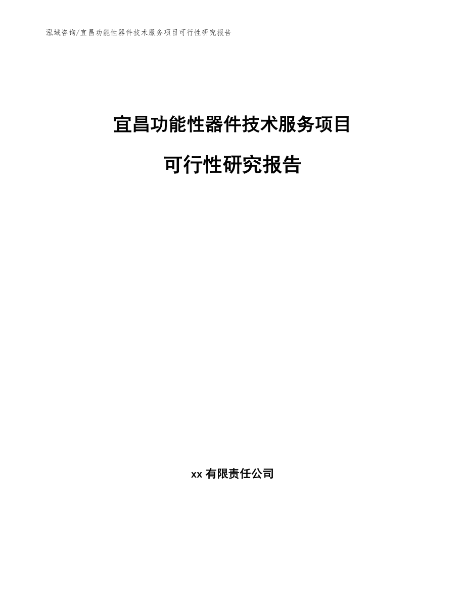 宜昌功能性器件技术服务项目可行性研究报告（范文参考）_第1页