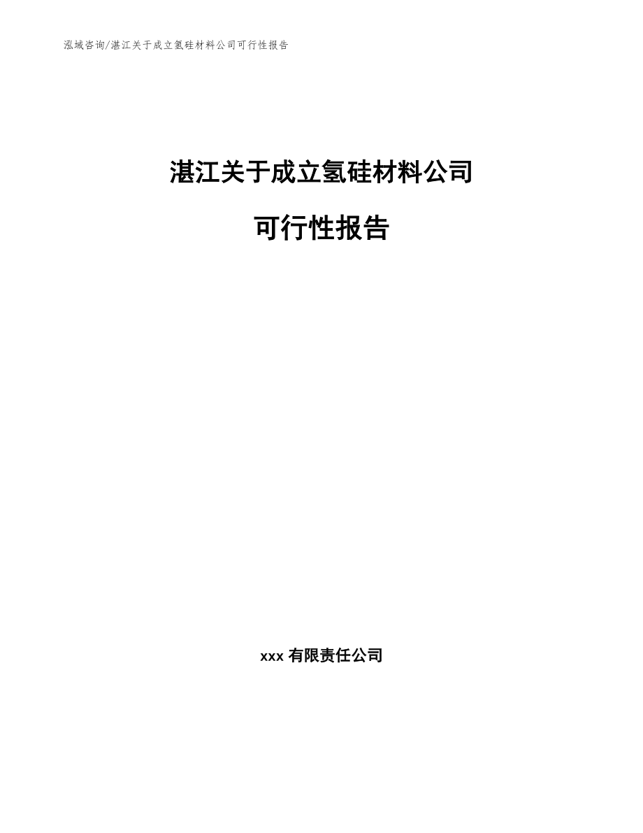 湛江关于成立氢硅材料公司可行性报告【模板参考】_第1页