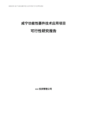 咸宁功能性器件技术应用项目可行性研究报告_模板范文