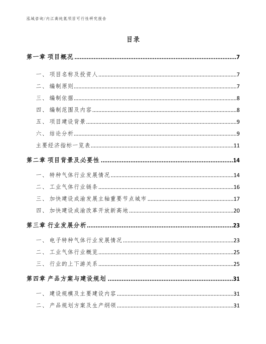 内江高纯氢项目可行性研究报告_第1页