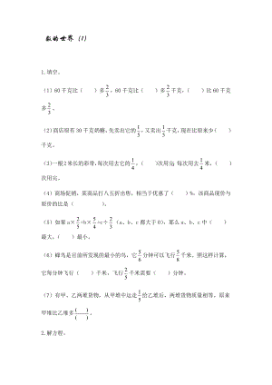 整理復(fù)習數(shù)的世界（同步練習） 數(shù)學六年級上冊