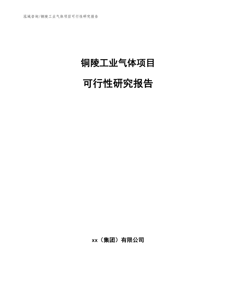 铜陵工业气体项目可行性研究报告_参考范文_第1页