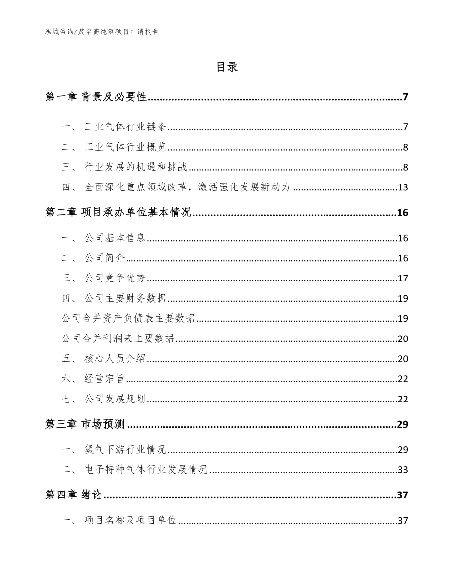 茂名高纯氢项目申请报告_范文参考_第1页