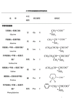 氨基酸结构式