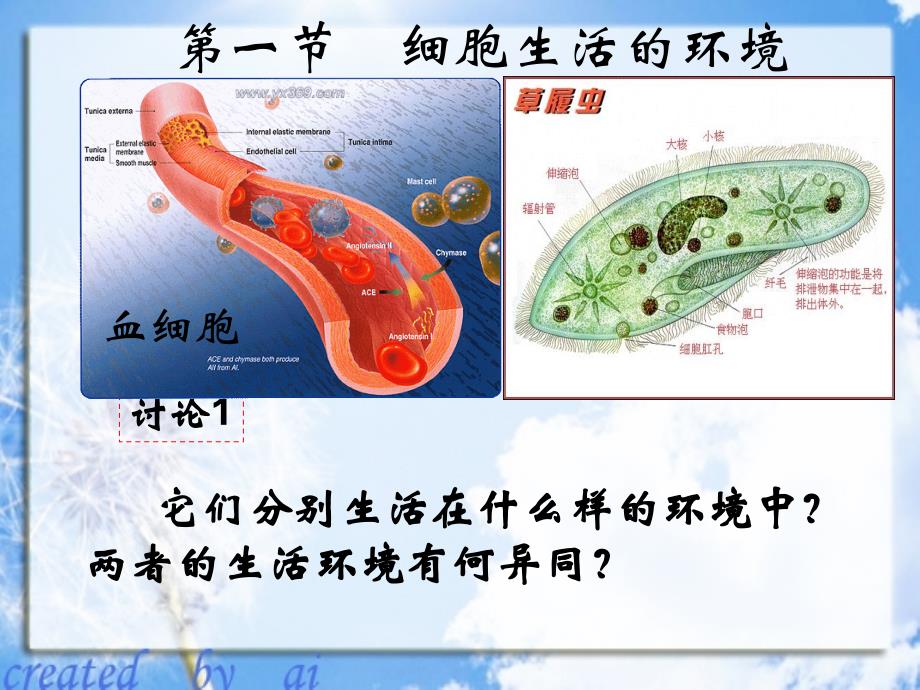 1-1`细胞生活的环境(使用)_第1页