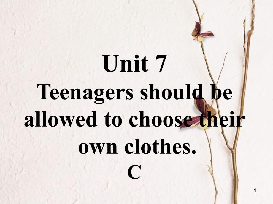 九年级英语全册 口头表达专练 Unit 7 Teenagers should be allowed to choose their own clothes C课件 （新版）人教新目标版_第1页