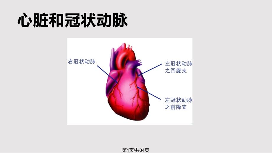 冠心病科普课件_第1页