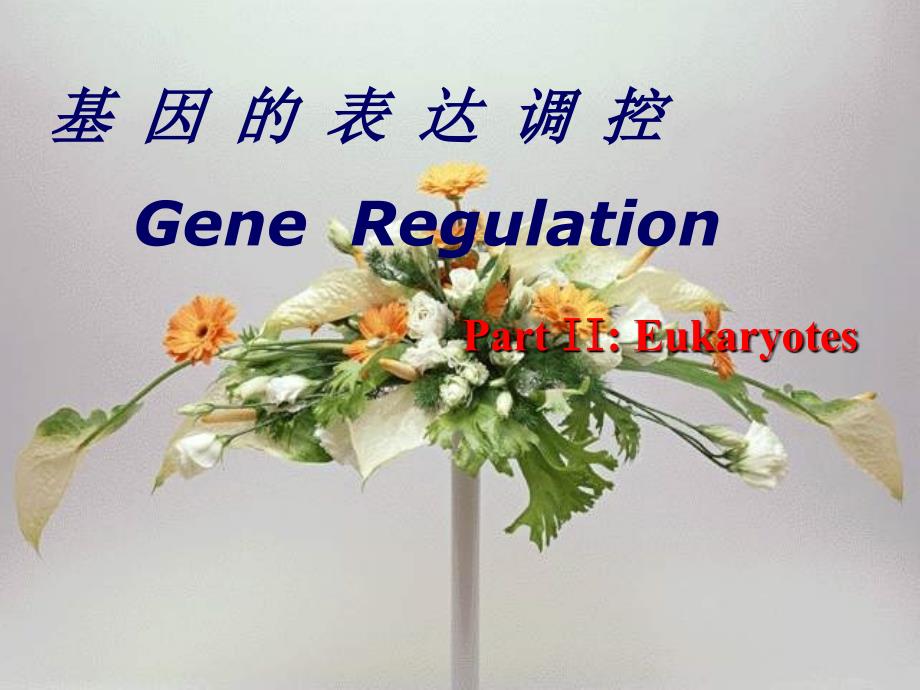 基因的表达调控Gene-Regulation课件_第1页