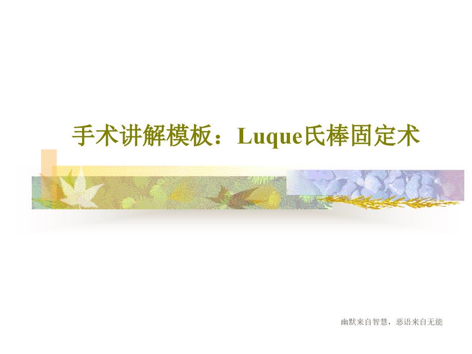 手术讲解模板：Luque氏棒固定术共40张课件_第1页