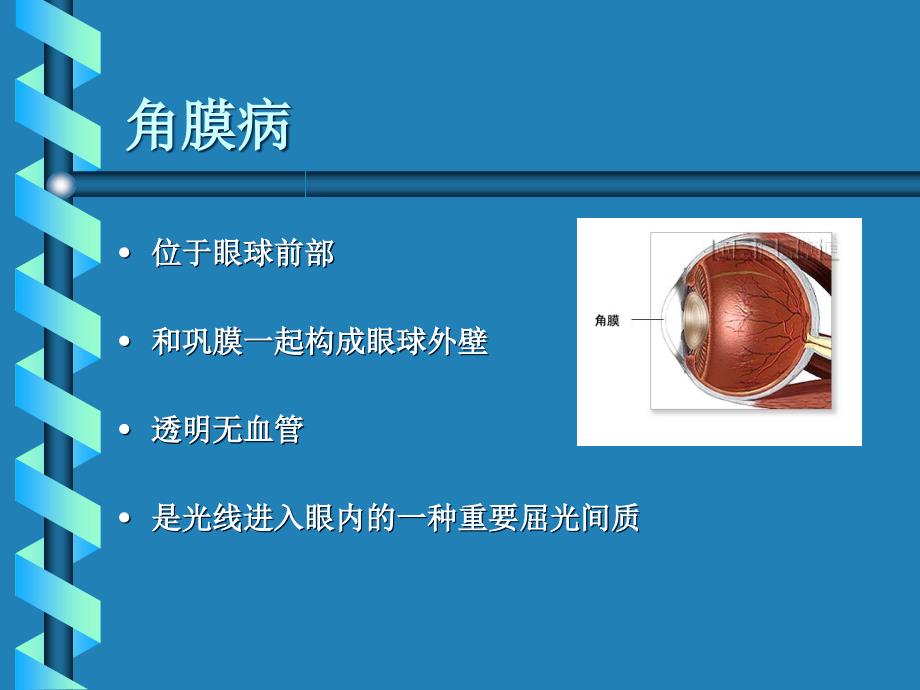 第十三章-角膜病总结课件_第1页